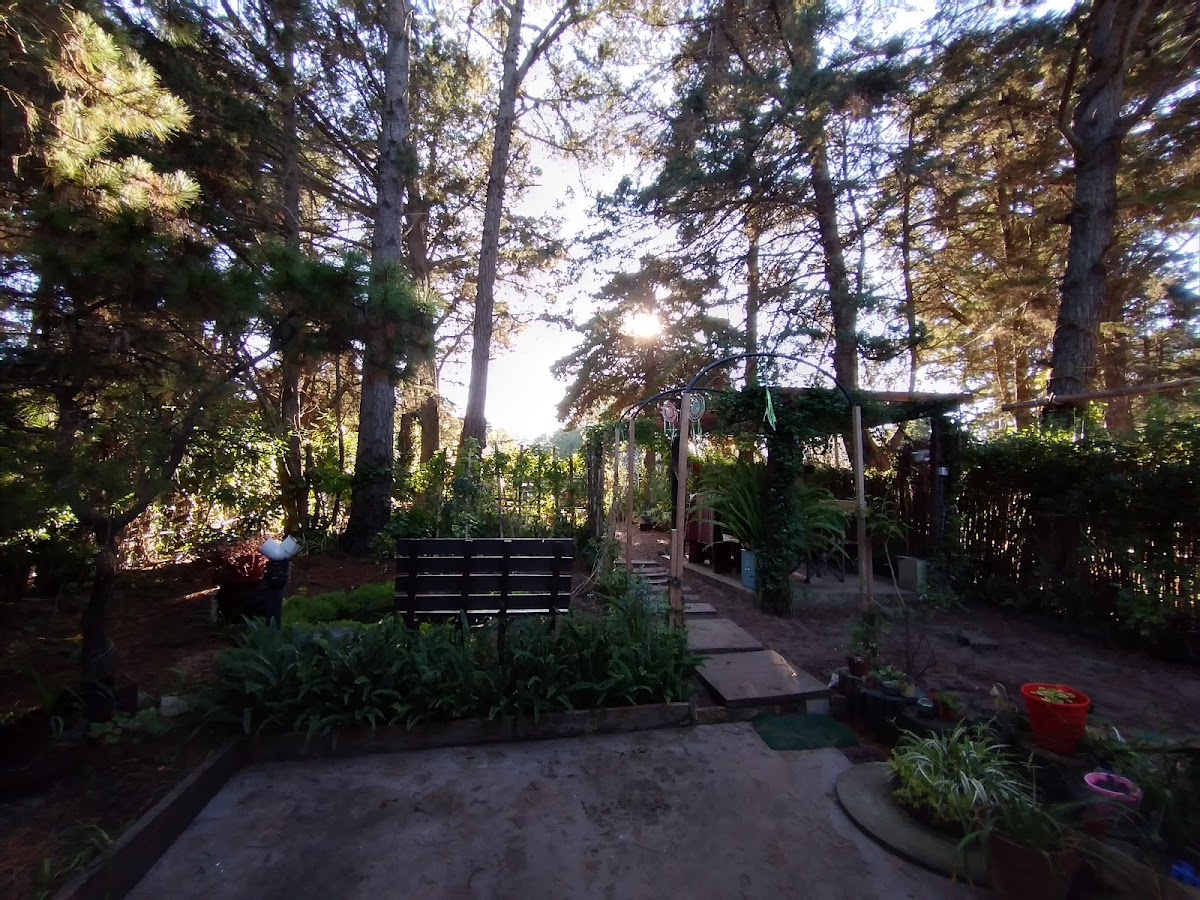 Any bustamante Depilación