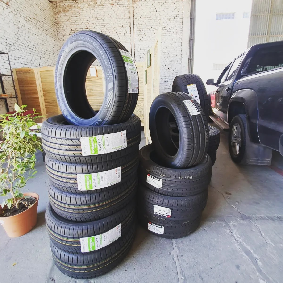 Cigüeña Neumáticos