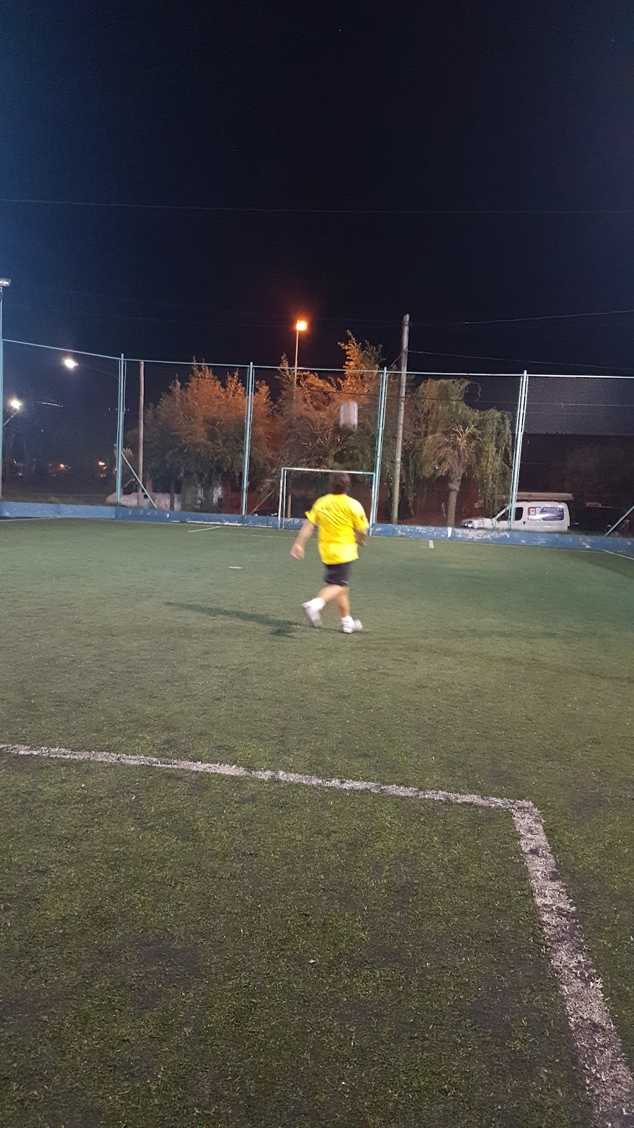 Gattos Fútbol 5