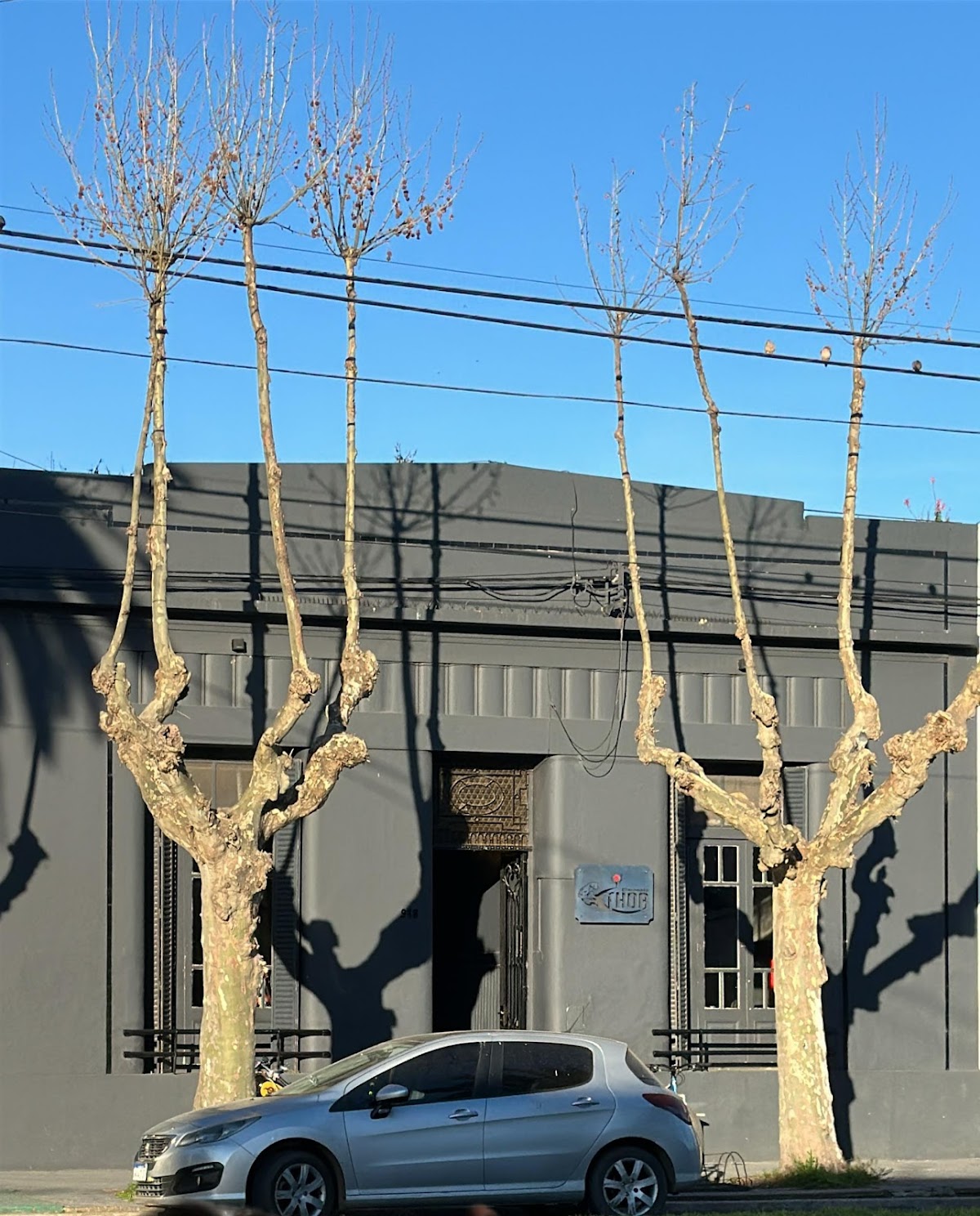 Logo de Gimnasio THOR