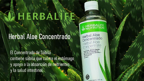 Herbalife de Luca