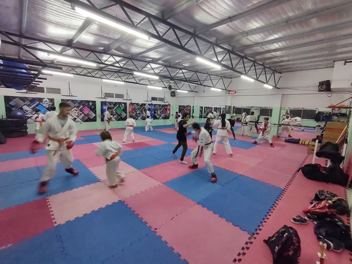 Integral Center Martial Arts and Fitness