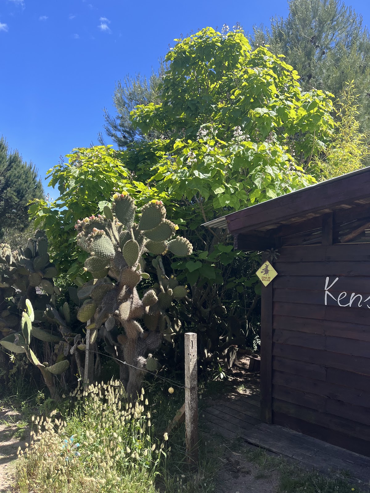 Kensho “Espacio para Despertar “