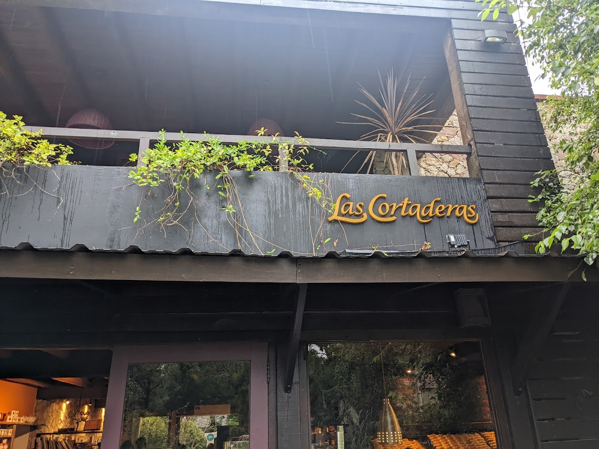 Las Cortaderas | Mar de las Pampas