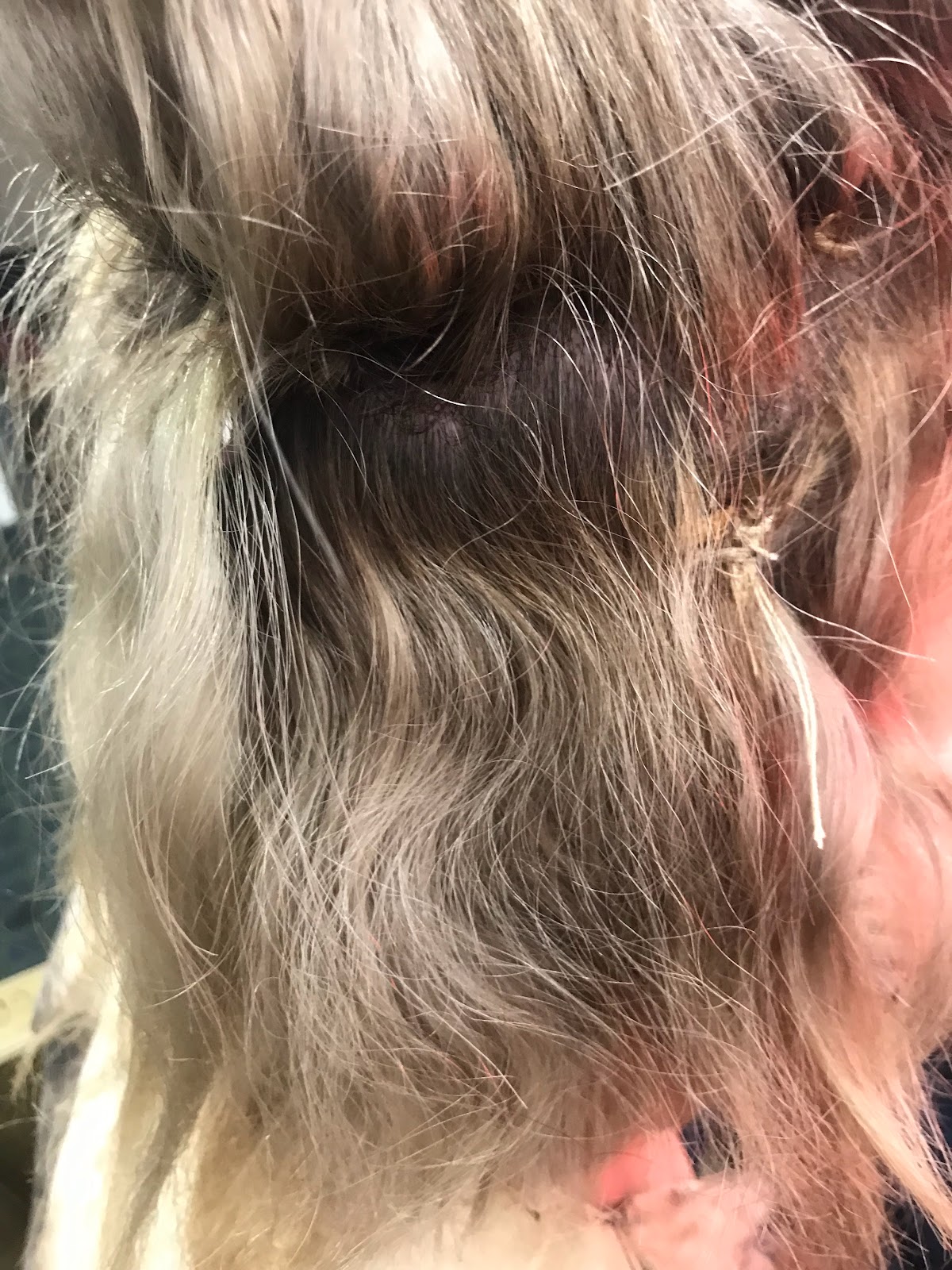 Peluquería y barbería reserva de turno