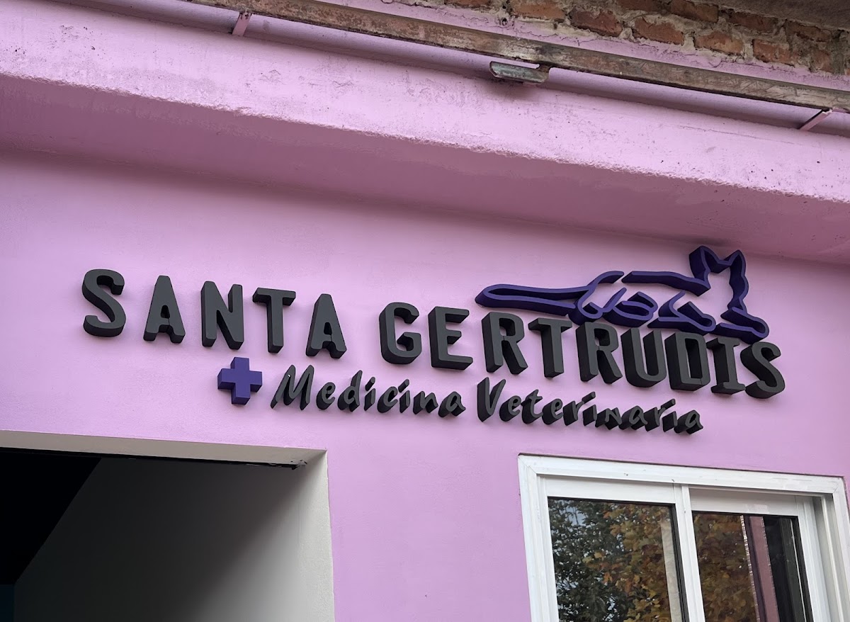 Santa Gertrudis. Medicina Veterinaria