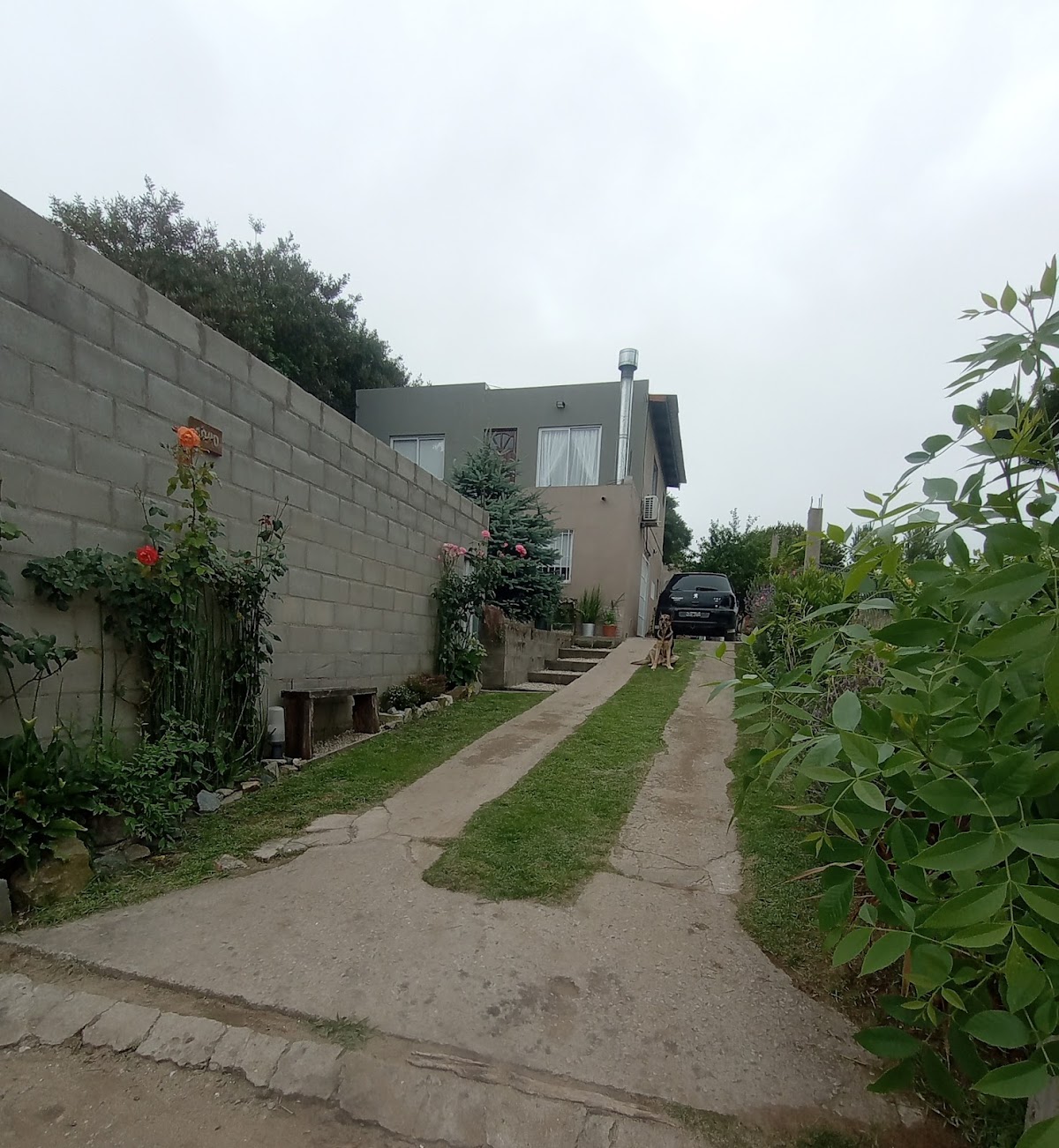 Taller sotelo e hijos