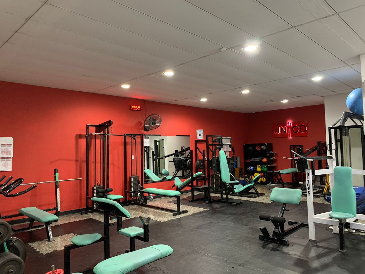 Logo de ÚNICO gimnasio