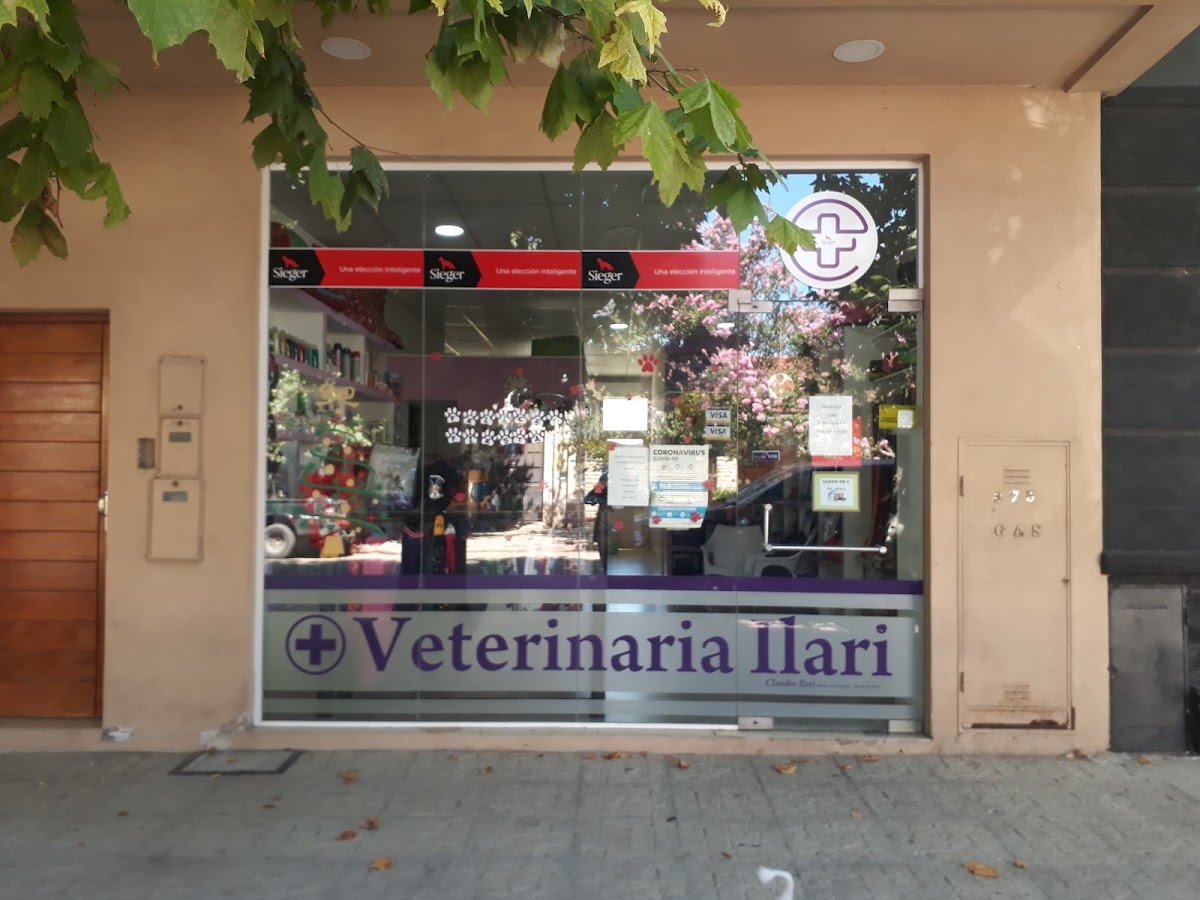 Veterinaria Ilari