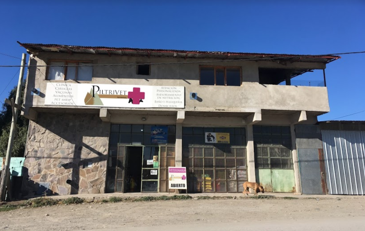 Veterinaria PiltriVet